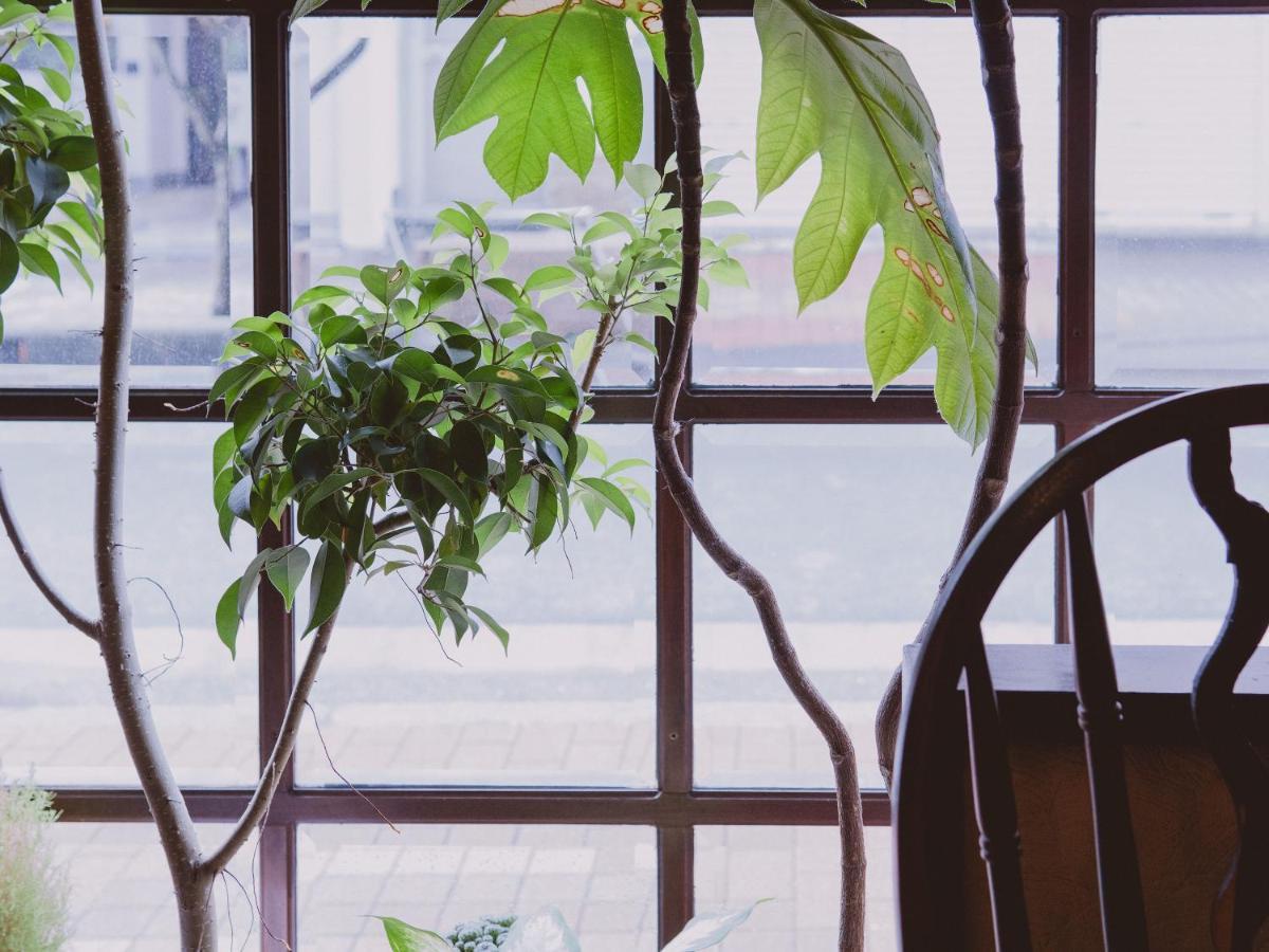Guesthouse Hitoyado Šizuoka Exteriér fotografie